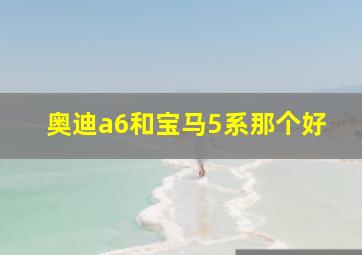 奥迪a6和宝马5系那个好