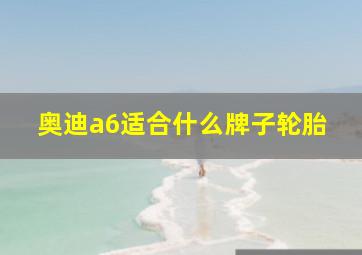 奥迪a6适合什么牌子轮胎