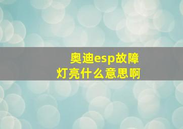 奥迪esp故障灯亮什么意思啊