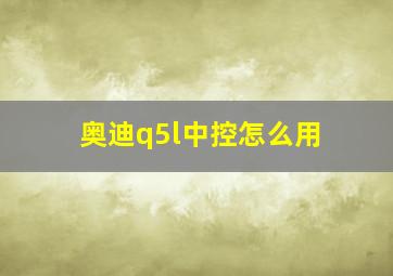 奥迪q5l中控怎么用