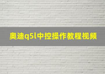 奥迪q5l中控操作教程视频