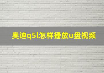 奥迪q5l怎样播放u盘视频