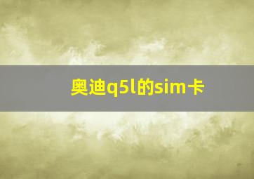 奥迪q5l的sim卡