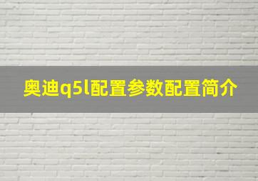 奥迪q5l配置参数配置简介