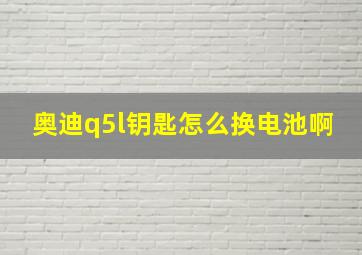 奥迪q5l钥匙怎么换电池啊