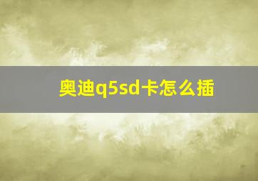 奥迪q5sd卡怎么插