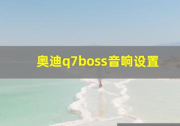 奥迪q7boss音响设置