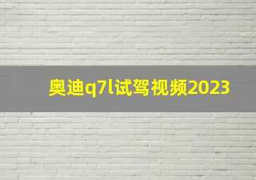 奥迪q7l试驾视频2023