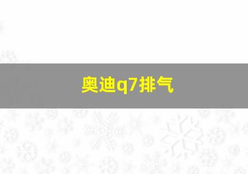 奥迪q7排气