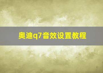 奥迪q7音效设置教程