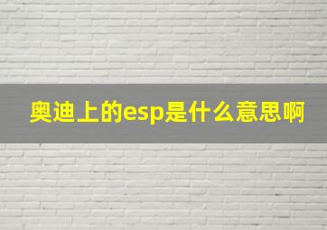 奥迪上的esp是什么意思啊