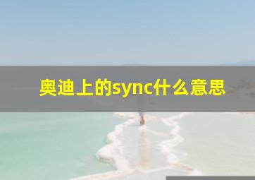 奥迪上的sync什么意思