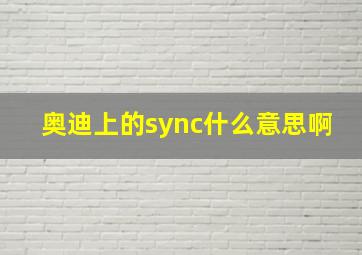 奥迪上的sync什么意思啊