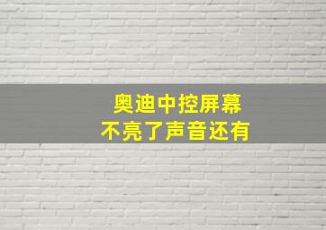 奥迪中控屏幕不亮了声音还有