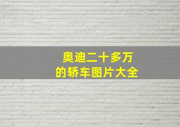 奥迪二十多万的轿车图片大全