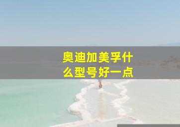 奥迪加美孚什么型号好一点