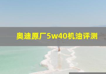 奥迪原厂5w40机油评测