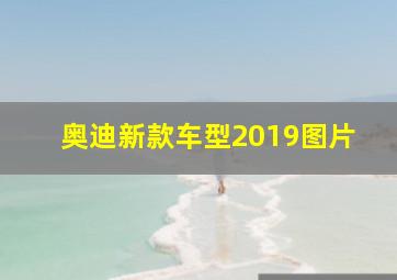 奥迪新款车型2019图片