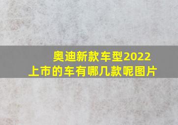 奥迪新款车型2022上市的车有哪几款呢图片