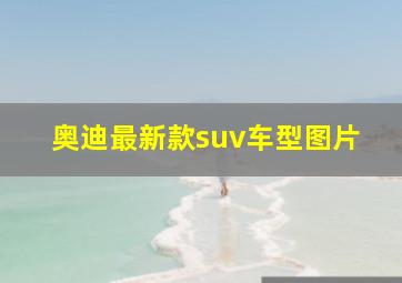 奥迪最新款suv车型图片