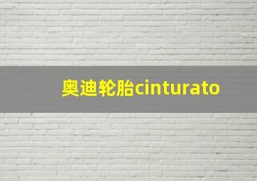 奥迪轮胎cinturato