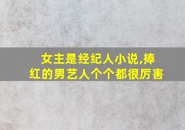 女主是经纪人小说,捧红的男艺人个个都很厉害