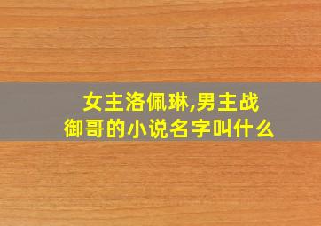 女主洛佩琳,男主战御哥的小说名字叫什么