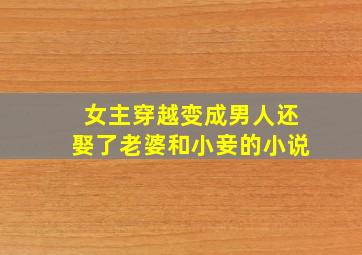 女主穿越变成男人还娶了老婆和小妾的小说