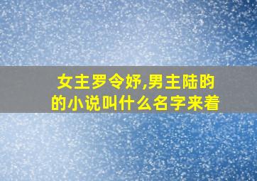 女主罗令妤,男主陆昀的小说叫什么名字来着