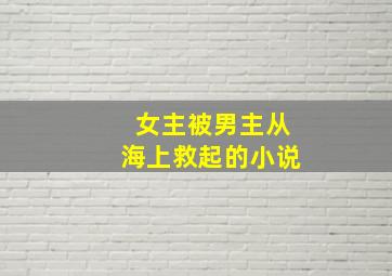 女主被男主从海上救起的小说