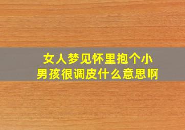 女人梦见怀里抱个小男孩很调皮什么意思啊