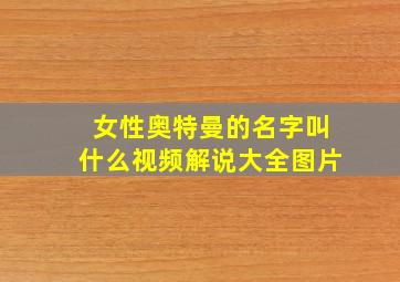 女性奥特曼的名字叫什么视频解说大全图片