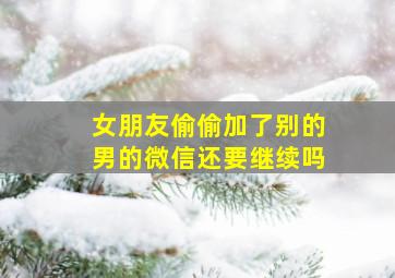 女朋友偷偷加了别的男的微信还要继续吗