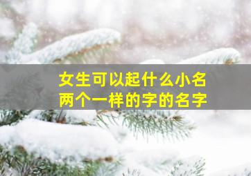 女生可以起什么小名两个一样的字的名字