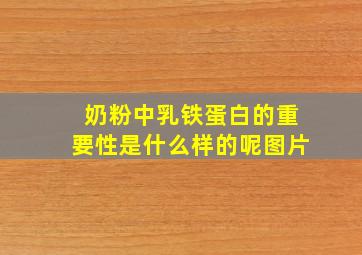 奶粉中乳铁蛋白的重要性是什么样的呢图片