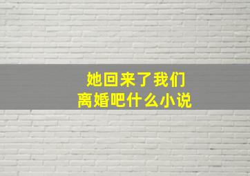 她回来了我们离婚吧什么小说