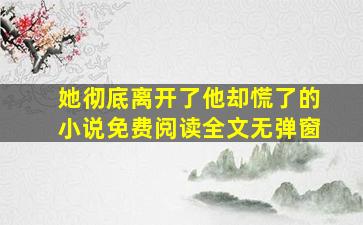 她彻底离开了他却慌了的小说免费阅读全文无弹窗