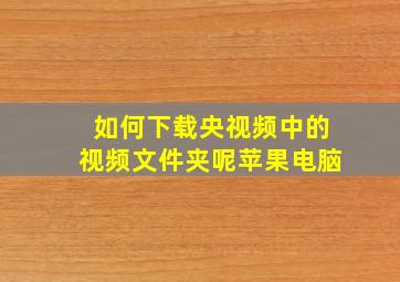 如何下载央视频中的视频文件夹呢苹果电脑