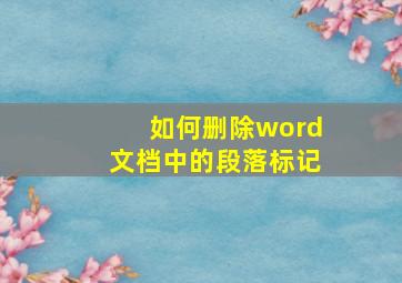 如何删除word文档中的段落标记