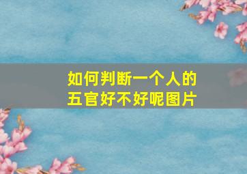 如何判断一个人的五官好不好呢图片