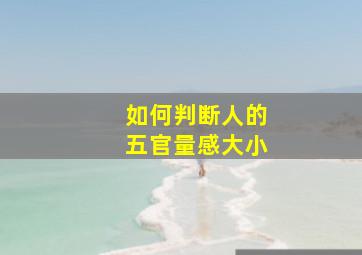 如何判断人的五官量感大小