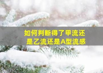 如何判断得了甲流还是乙流还是A型流感