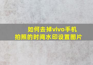 如何去掉vivo手机拍照的时间水印设置图片