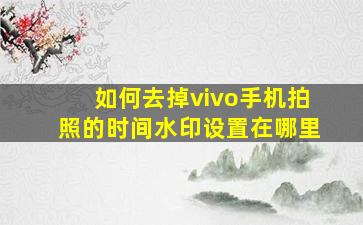 如何去掉vivo手机拍照的时间水印设置在哪里