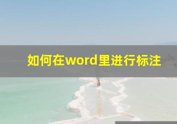 如何在word里进行标注