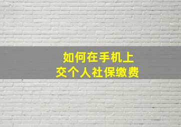 如何在手机上交个人社保缴费