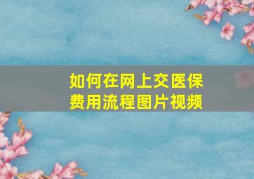 如何在网上交医保费用流程图片视频