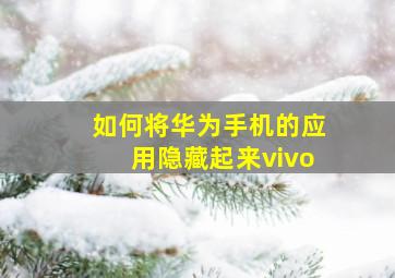 如何将华为手机的应用隐藏起来vivo