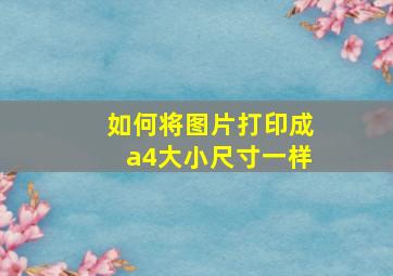 如何将图片打印成a4大小尺寸一样