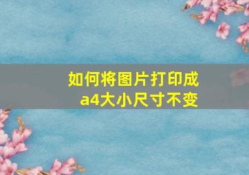 如何将图片打印成a4大小尺寸不变